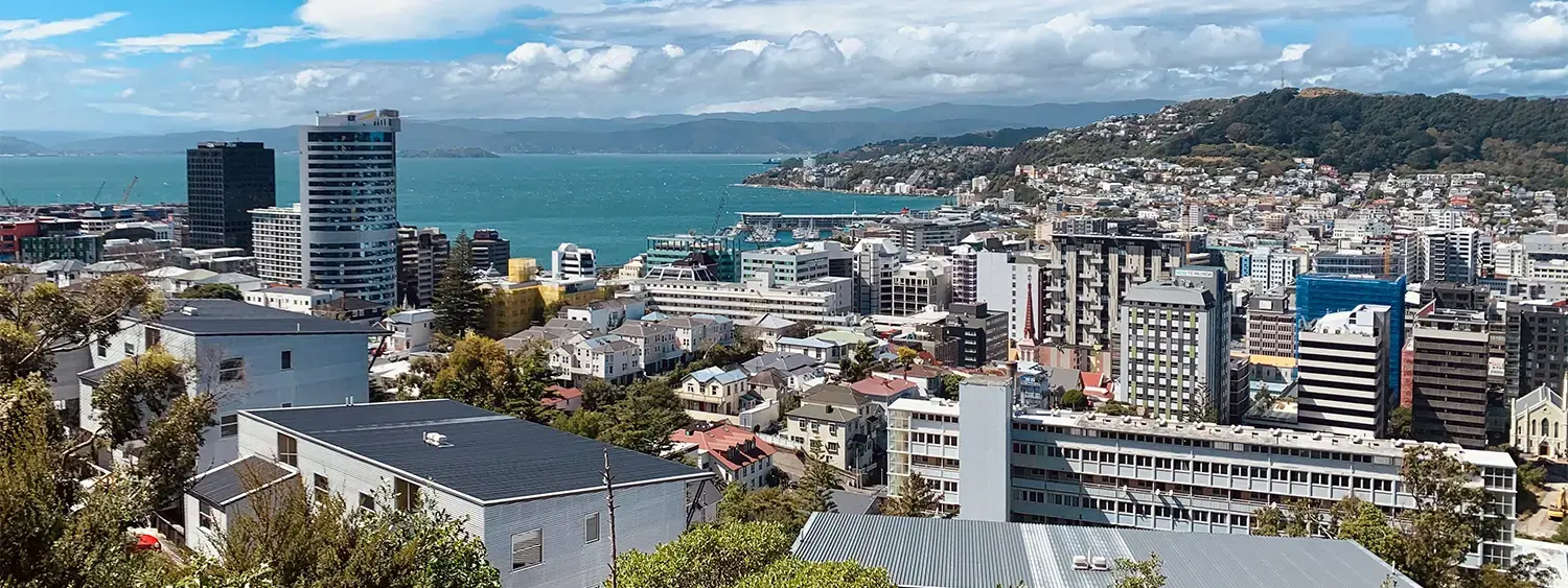 Wellington city, where DSkip Cleaning works